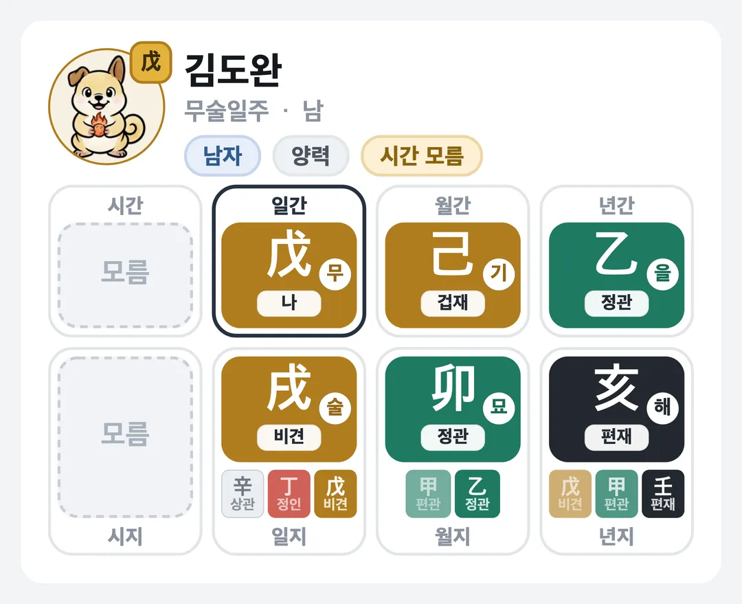 김도완 사주 원국 — 무술일주