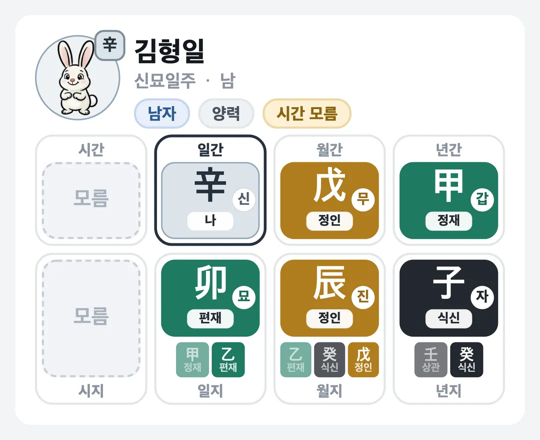김형일 사주 원국 — 신묘일주