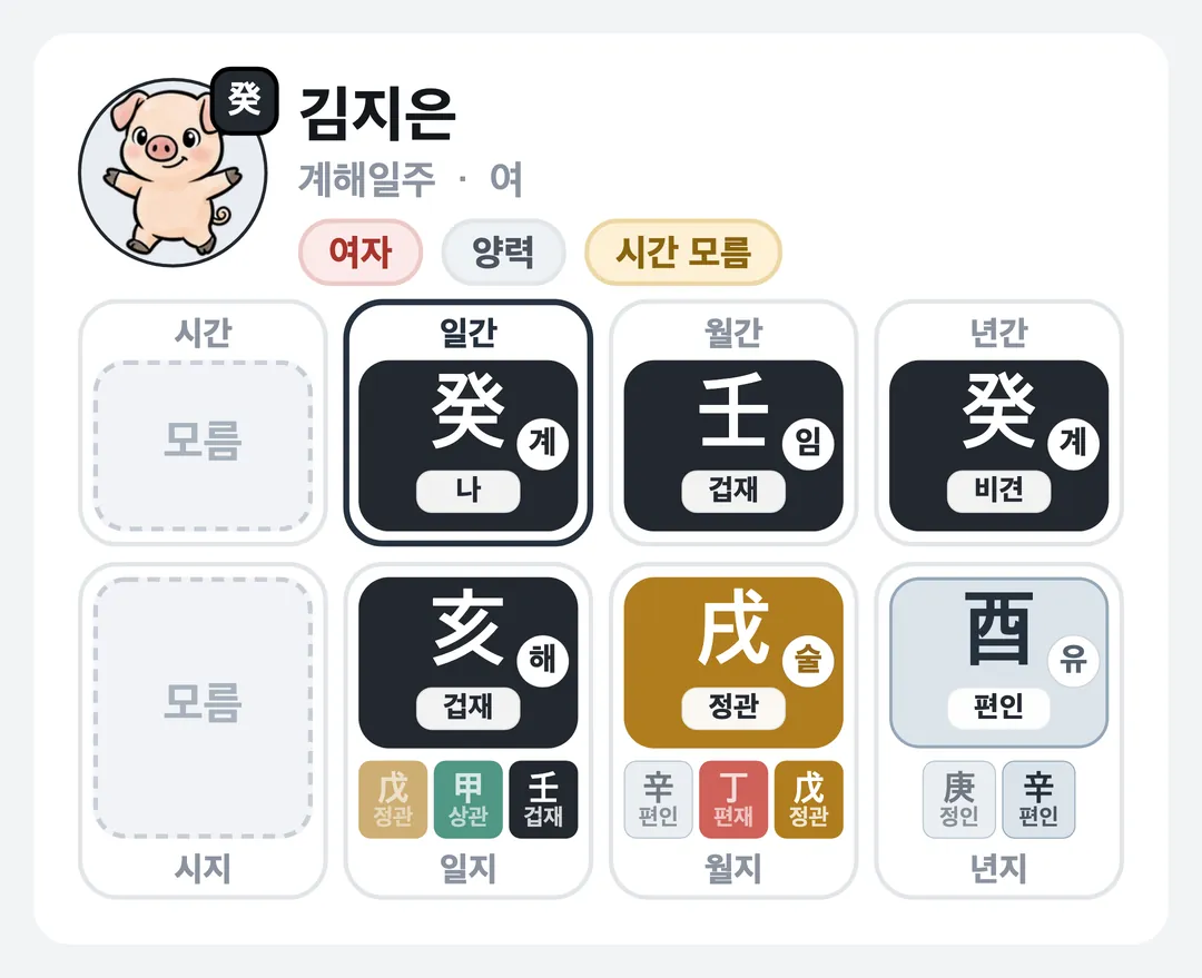 김지은 사주 원국 — 계해일주