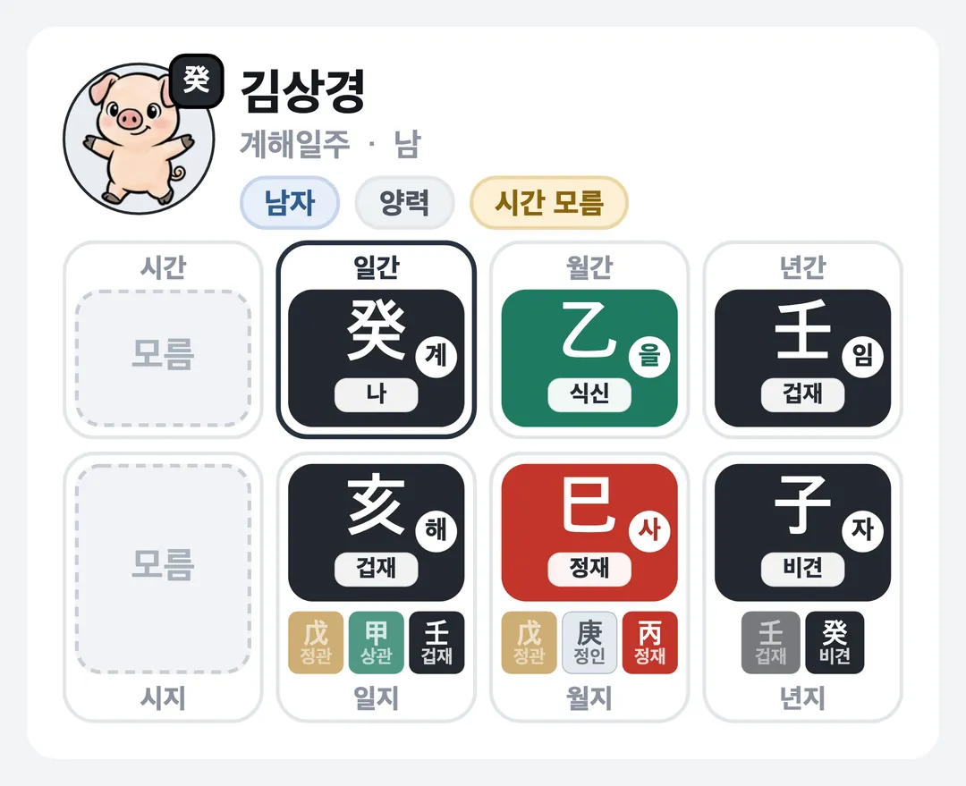 김상경 사주 원국 — 계해일주