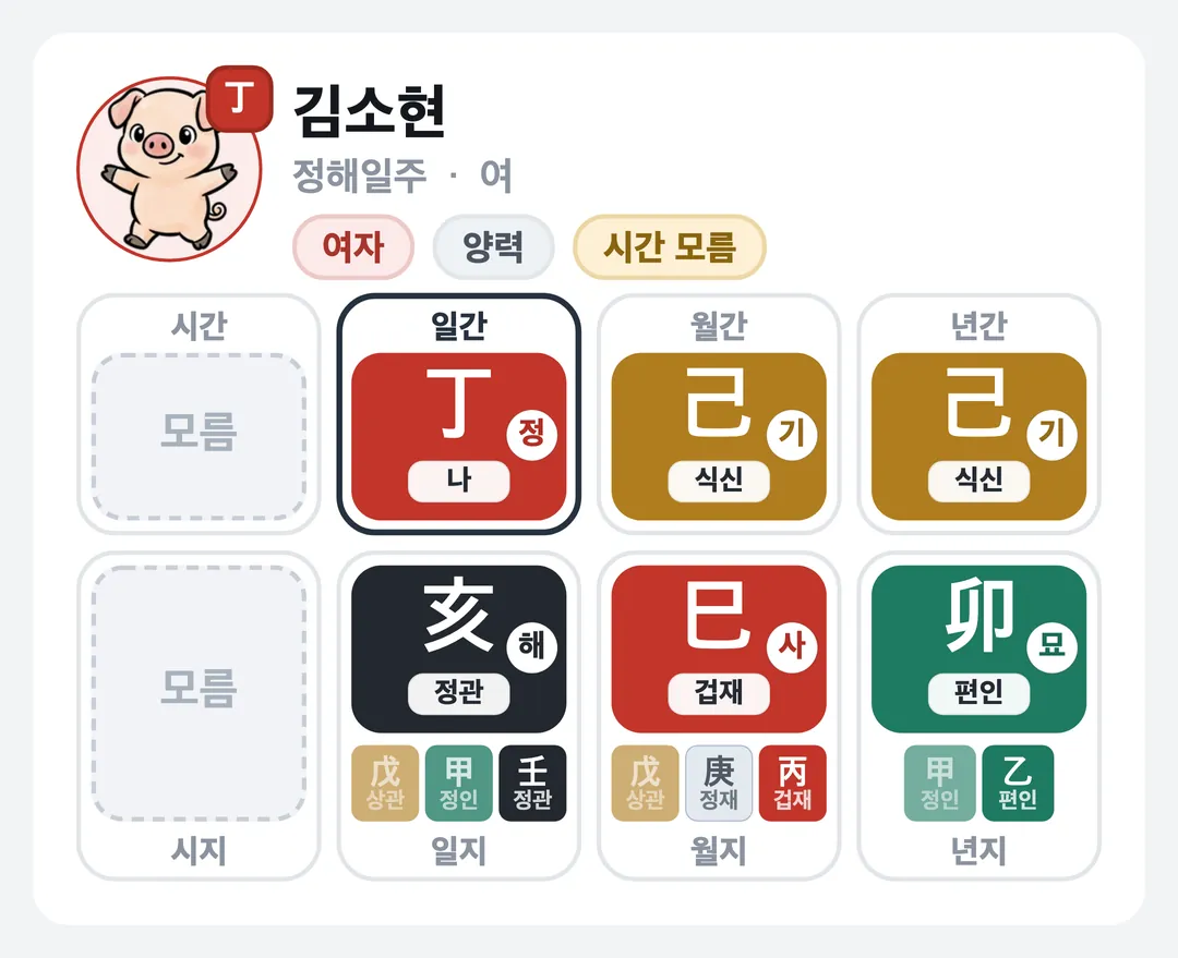 김소현 사주 원국 — 정해일주
