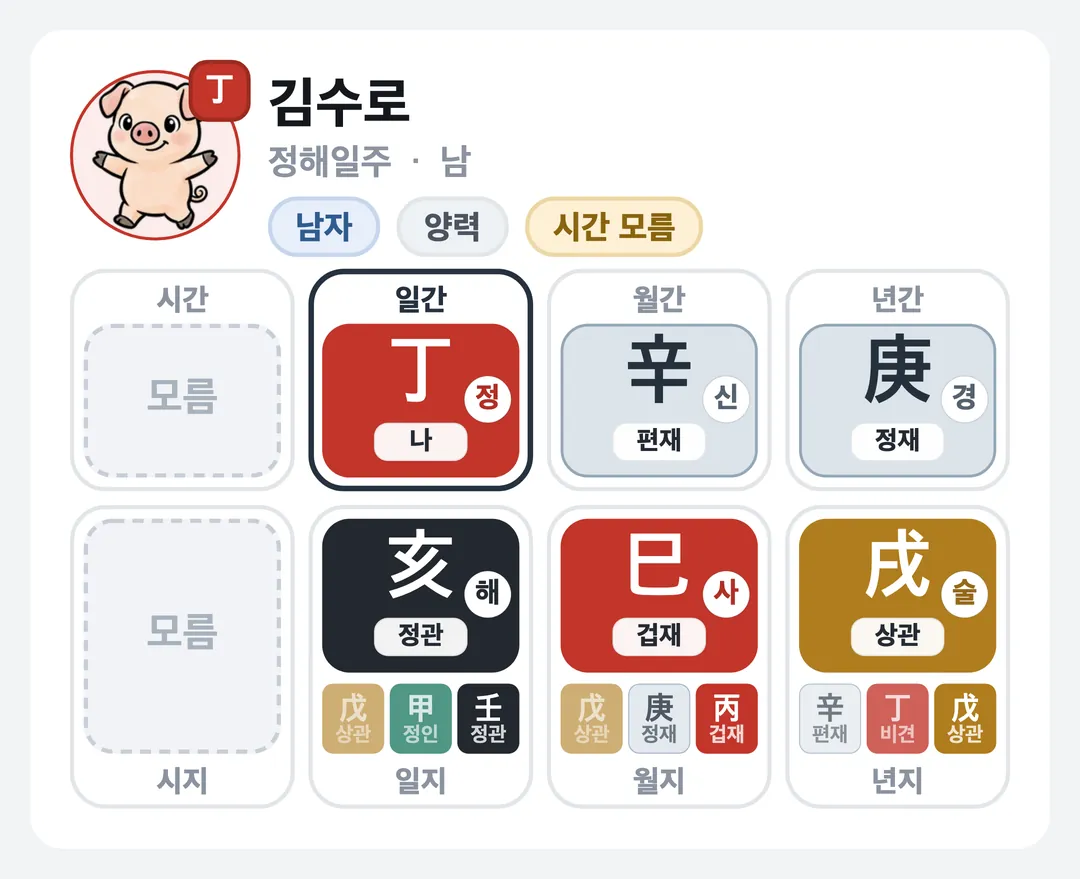 김수로 사주 원국 — 정해일주