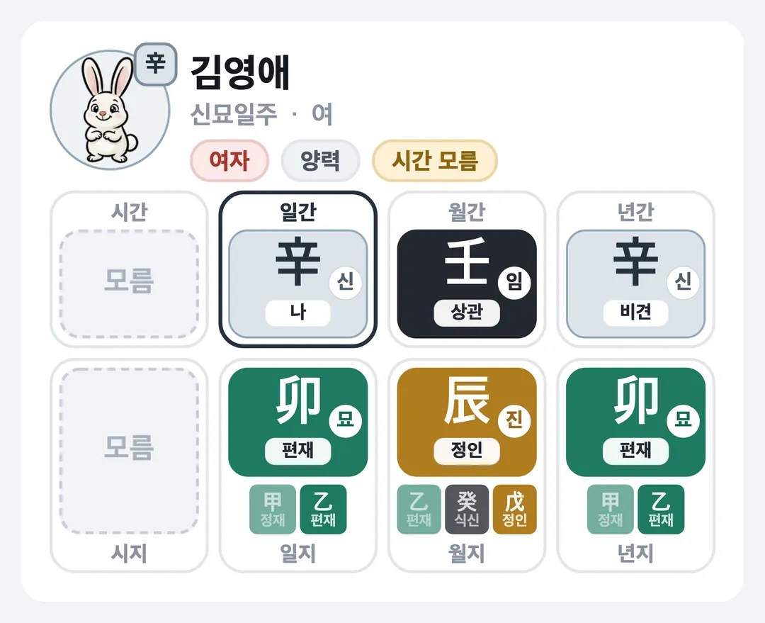 김영애 사주 원국 — 신묘일주