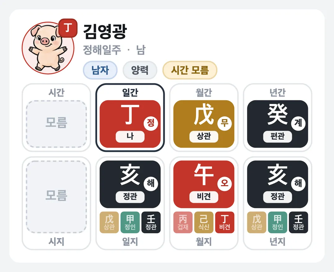 김영광 사주 원국 — 정해일주