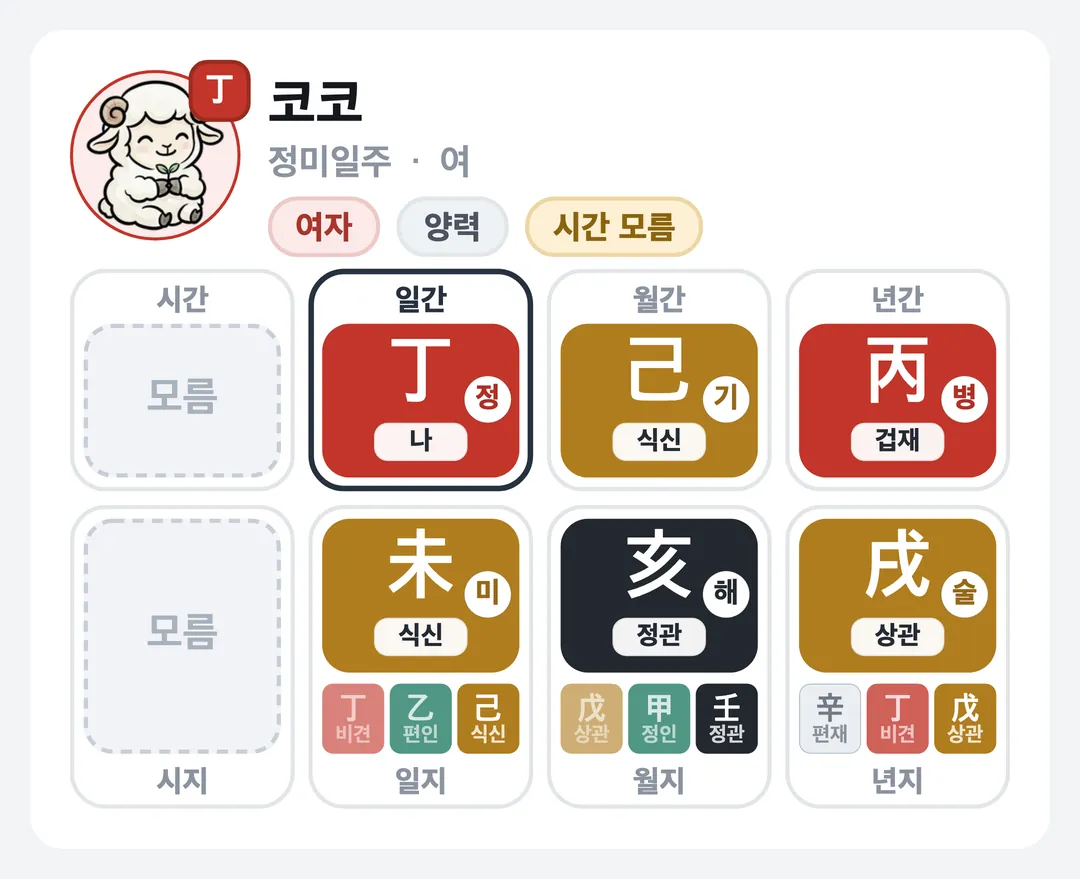 코코 사주 원국 — 정미일주