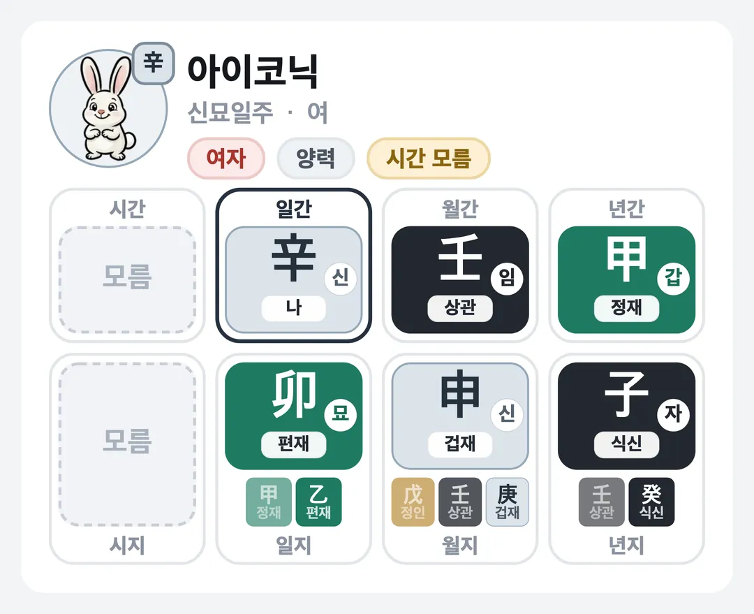아이코닉 사주 원국 — 신묘일주