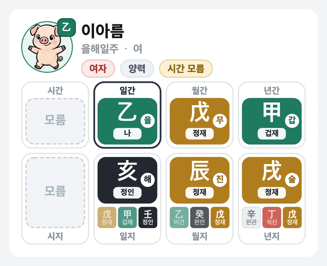 이아름 사주 원국 — 을해일주