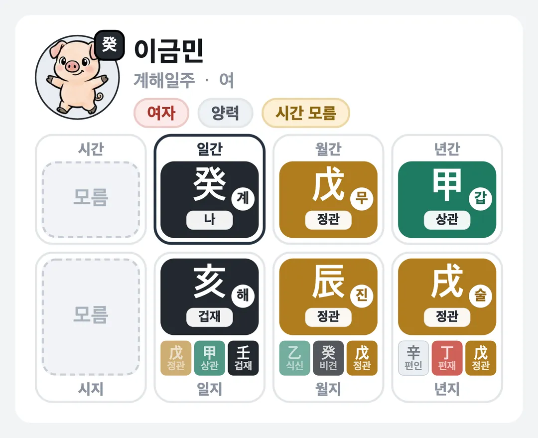 이금민 사주 원국 — 계해일주