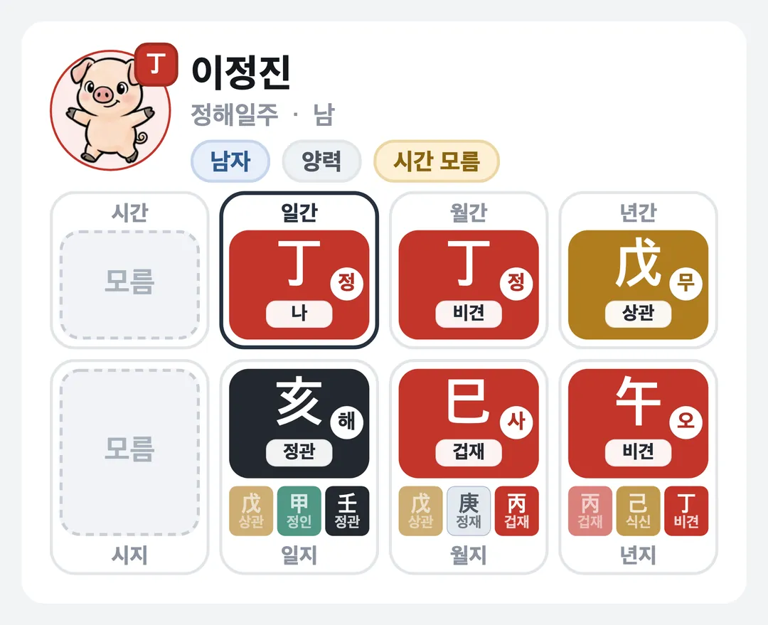 이정진 사주 원국 — 정해일주