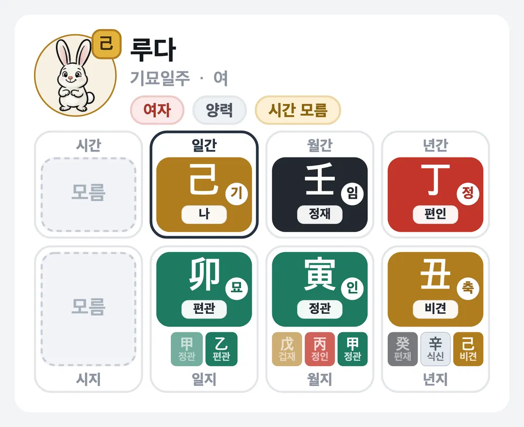 루다 사주 원국 — 기묘일주