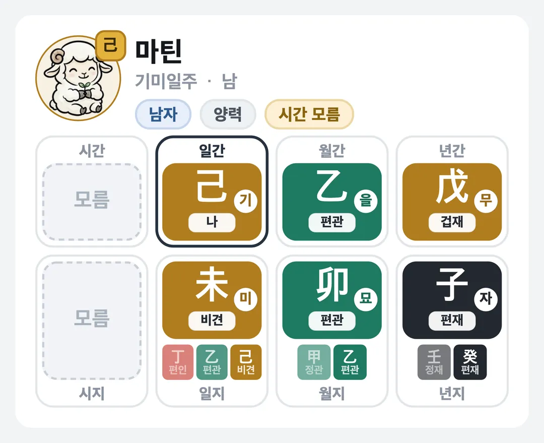 마틴 사주 원국 — 기미일주
