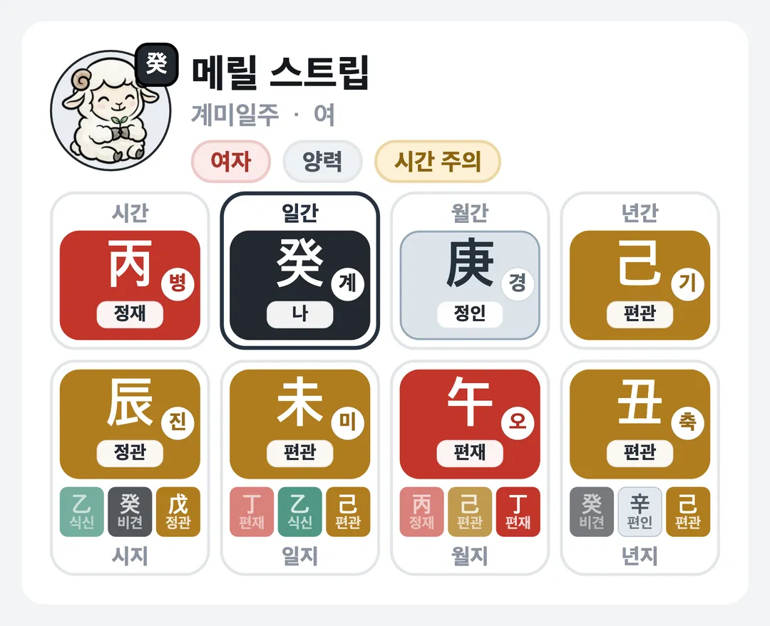 메릴 스트립 사주 원국 — 계미일주