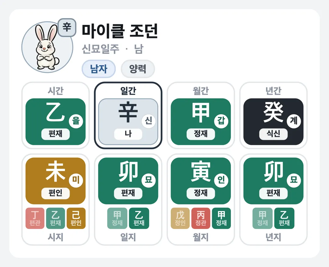마이클 조던 사주 원국 — 신묘일주