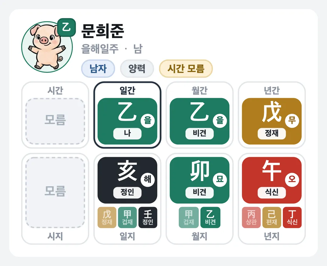 문희준 사주 원국 — 을해일주