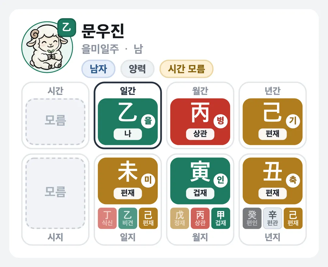 문우진 사주 원국 — 을미일주