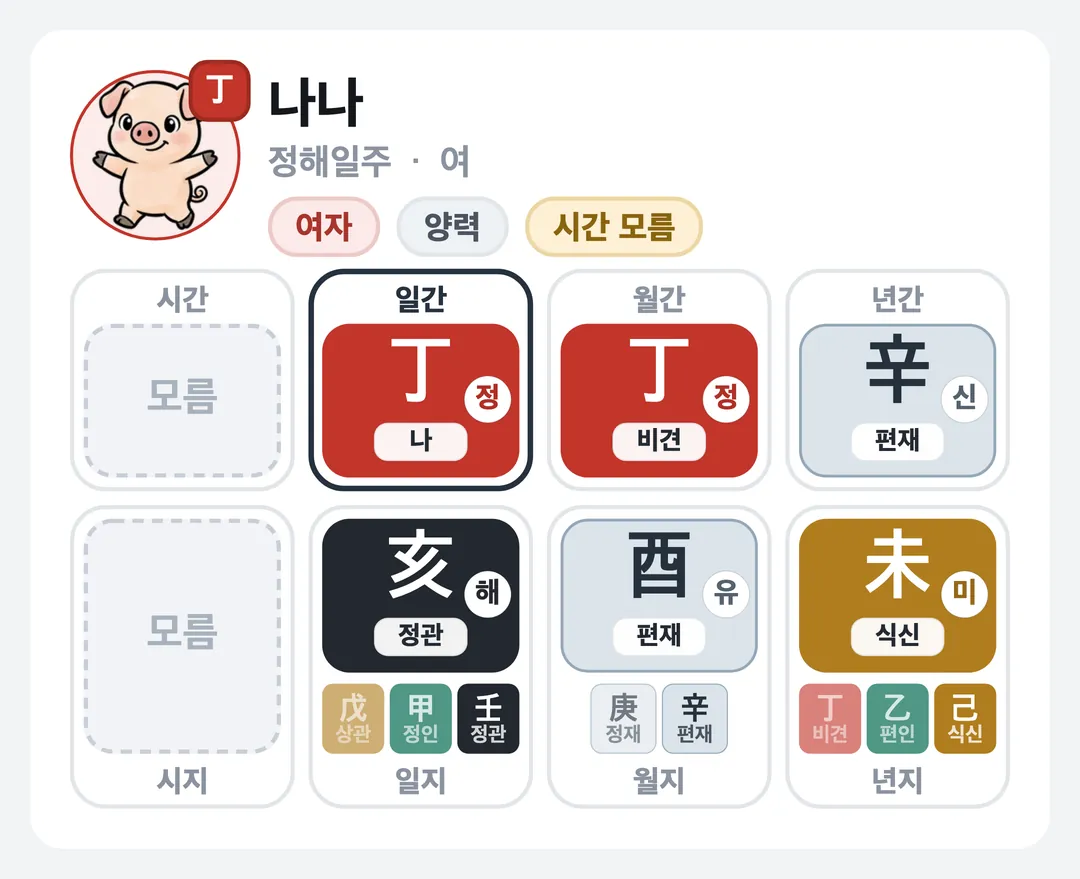 나나 사주 원국 — 정해일주