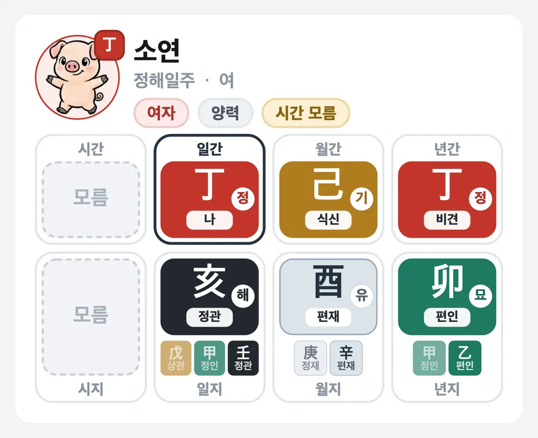 소연 사주 원국 — 정해일주