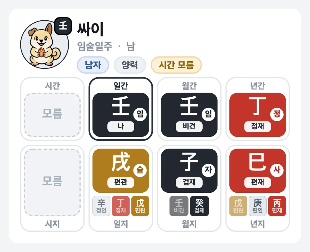 싸이 사주 원국 — 임술일주