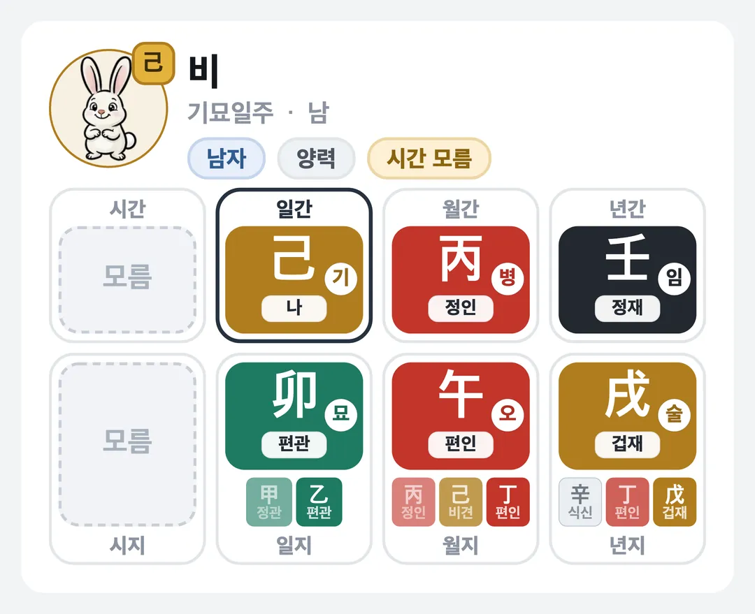 비 사주 원국 — 기묘일주