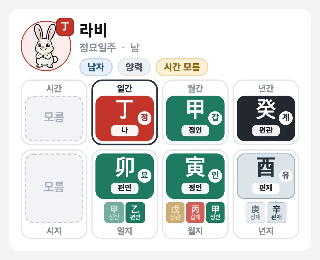 라비 사주 원국 — 정묘일주