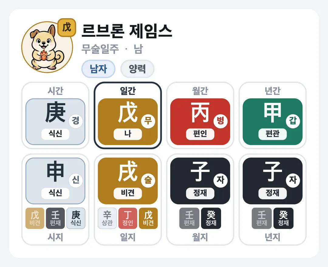 르브론 제임스 사주 원국 — 무술일주