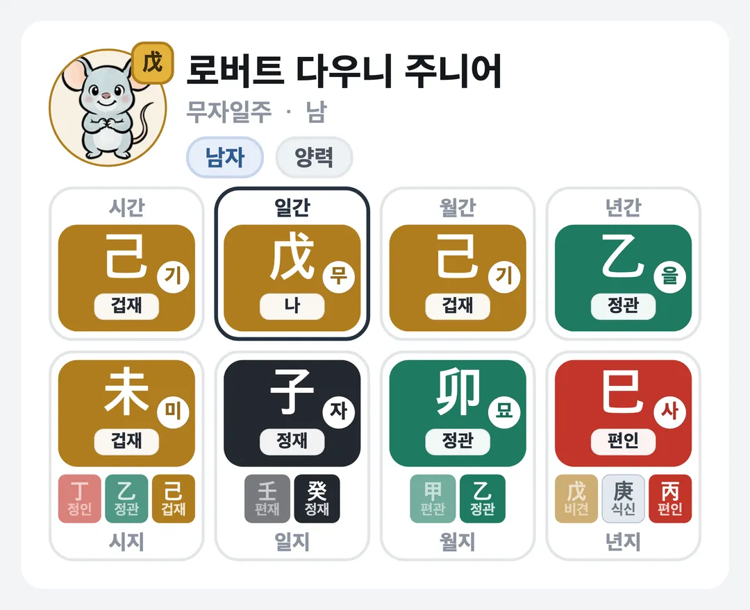 로버트 다우니 주니어 사주 원국 — 무자일주