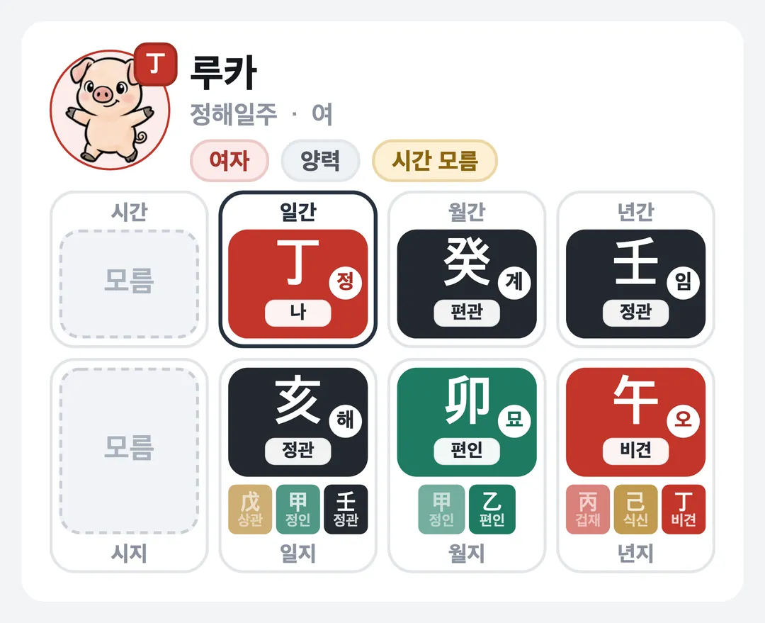 루카 사주 원국 — 정해일주