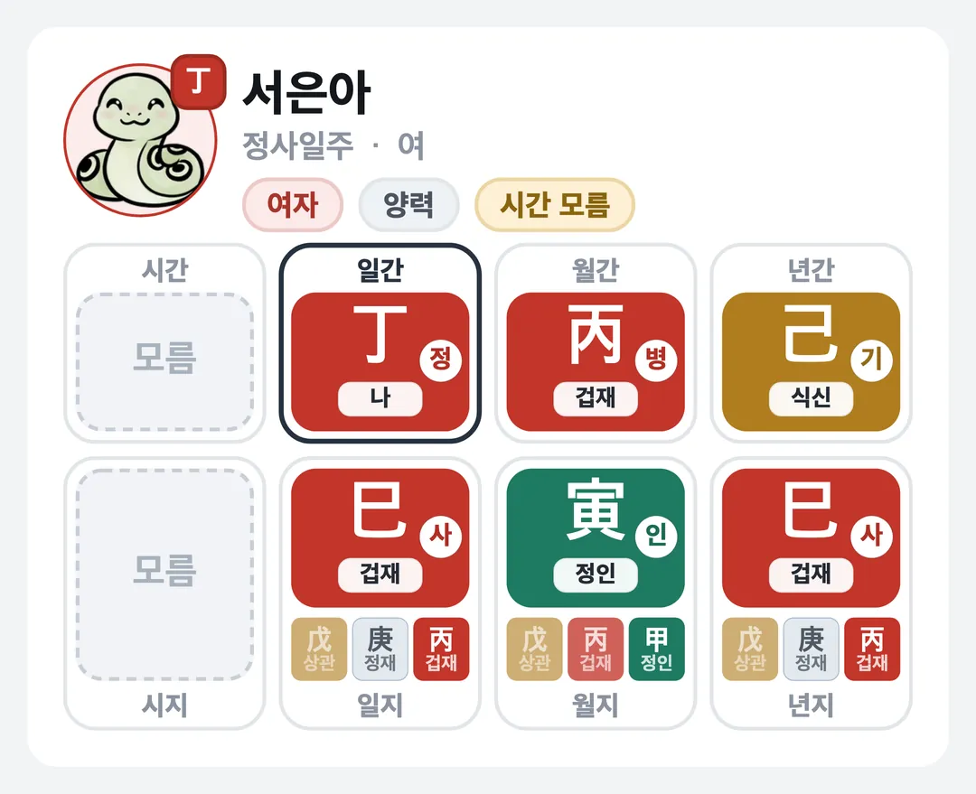 서은아 사주 원국 — 정사일주