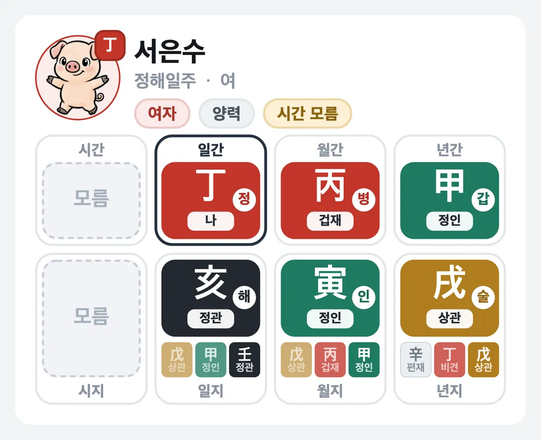 서은수 사주 원국 — 정해일주