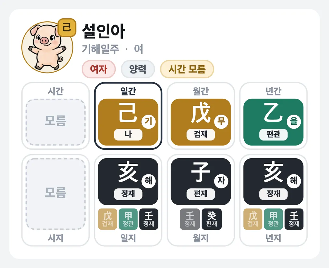 설인아 사주 원국 — 기해일주