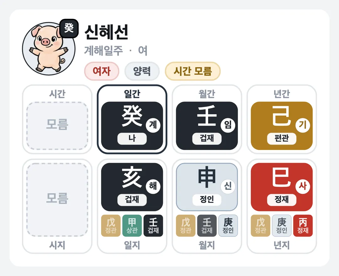 신혜선 사주 원국 — 계해일주