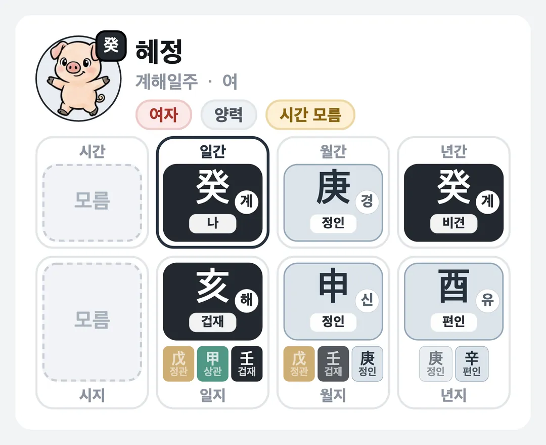 혜정 사주 원국 — 계해일주