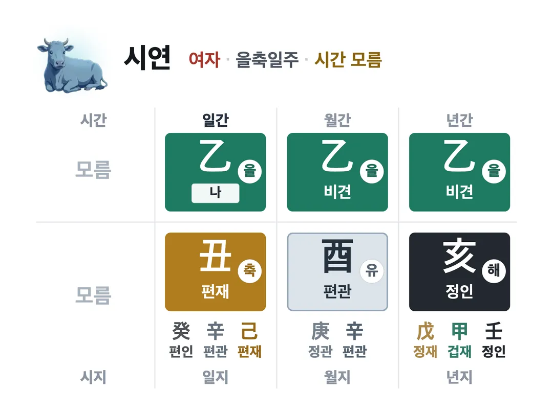시연 사주 원국 — 을축일주