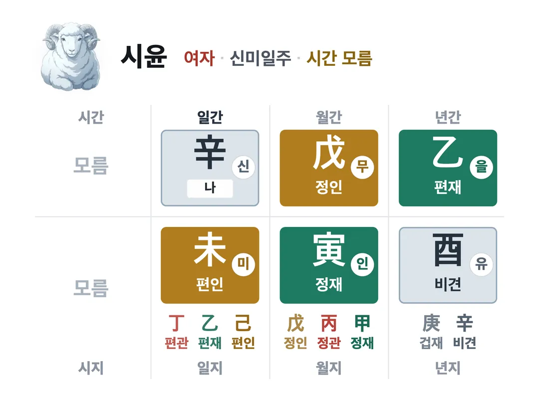 시윤 사주 원국 — 신미일주