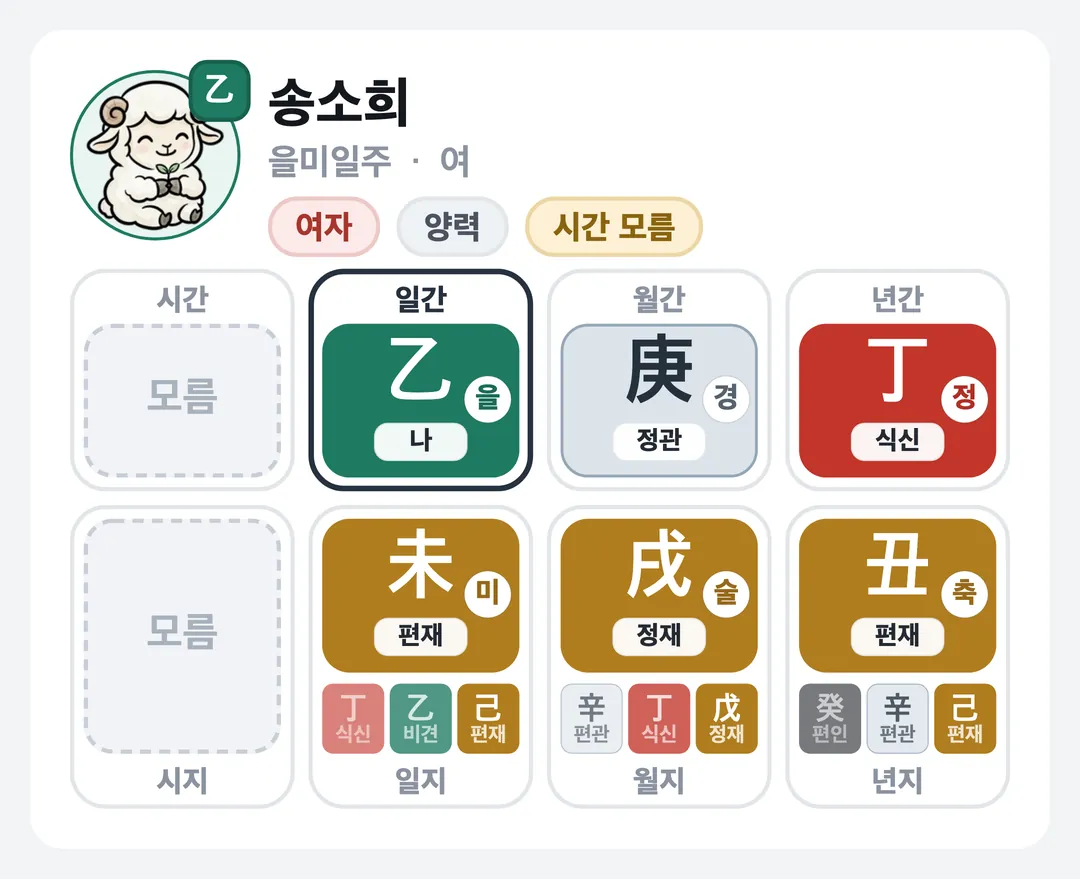 송소희 사주 원국 — 을미일주