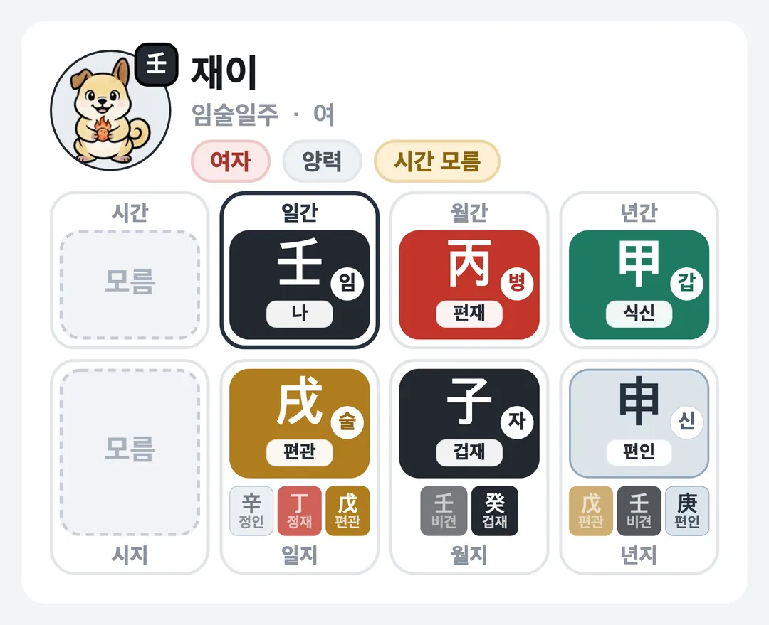 재이 사주 원국 — 임술일주