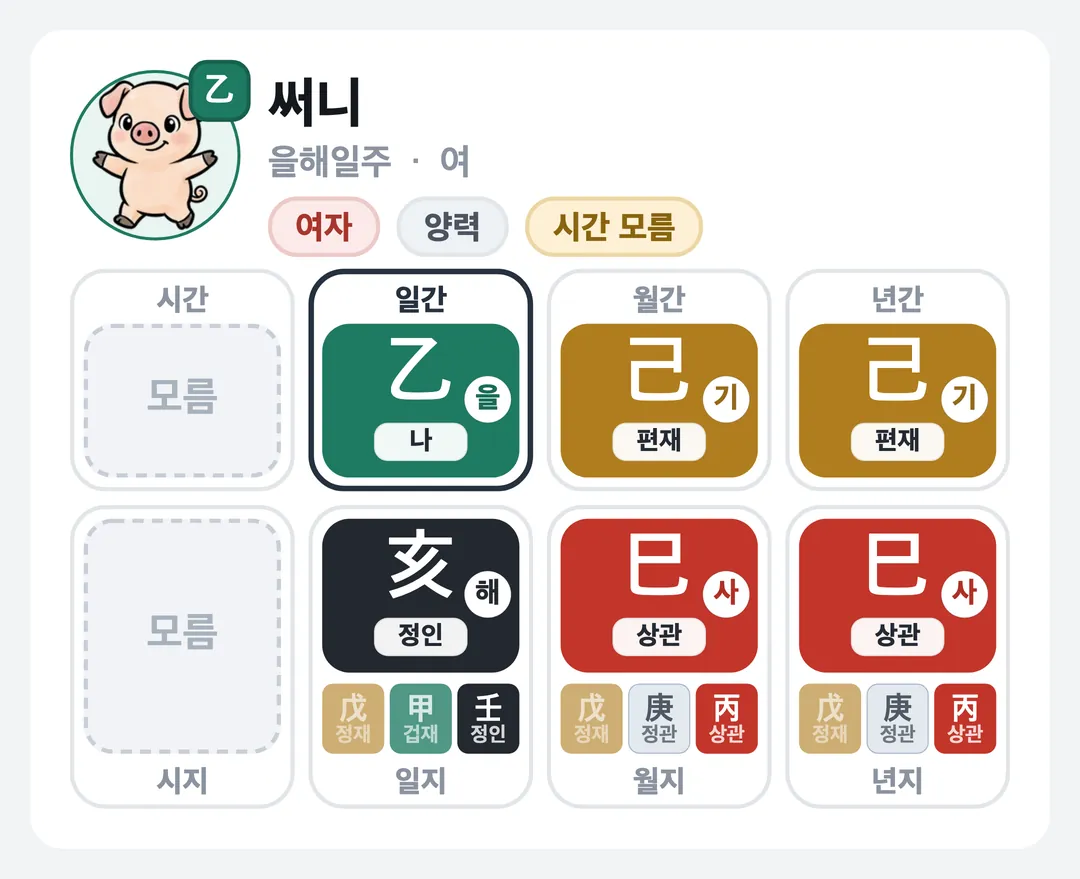 써니 사주 원국 — 을해일주