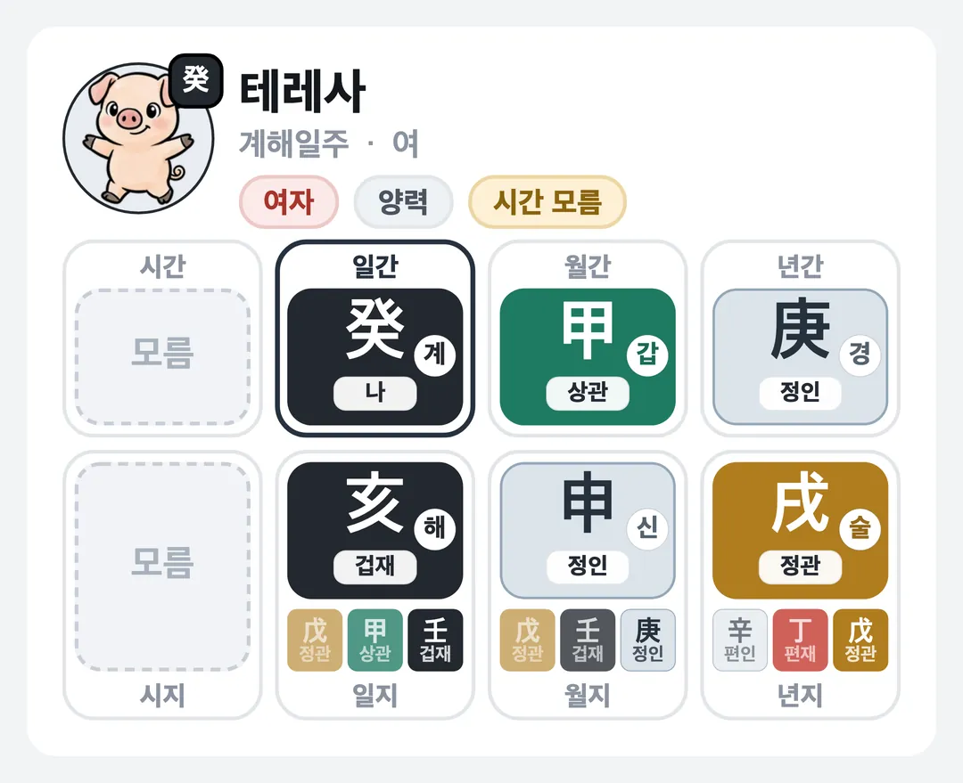 테레사 사주 원국 — 계해일주