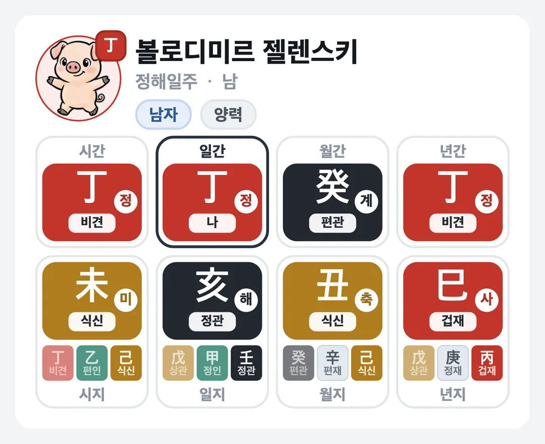 볼로디미르 젤렌스키 사주 원국 — 정해일주
