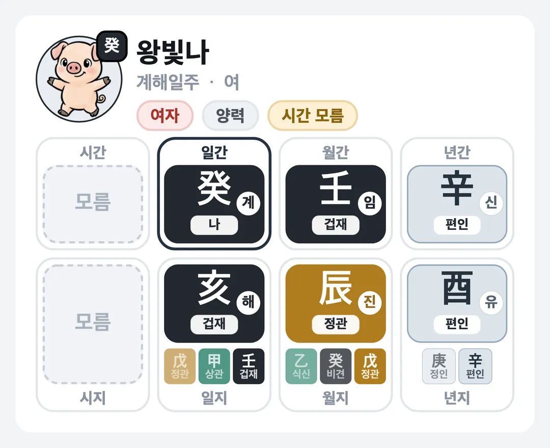왕빛나 사주 원국 — 계해일주
