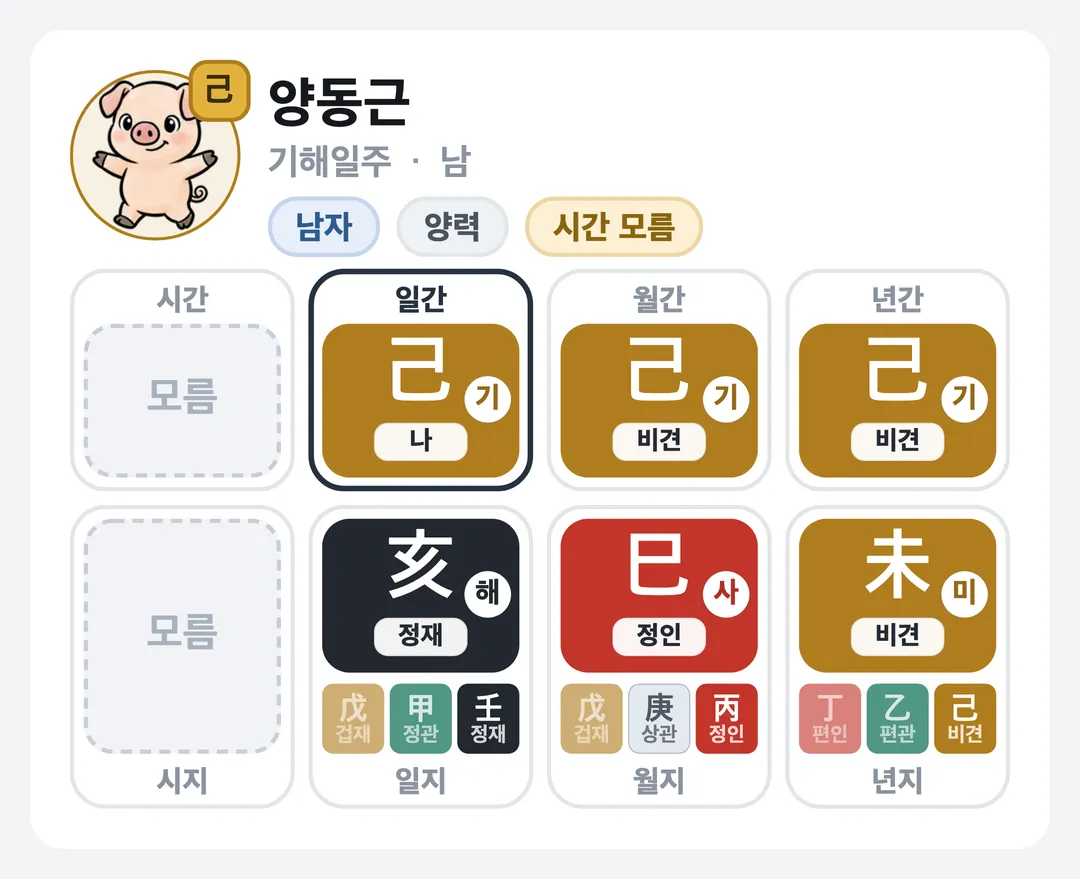 양동근 사주 원국 — 기해일주