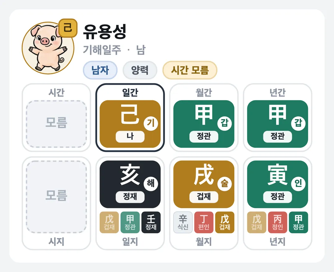 유용성 사주 원국 — 기해일주
