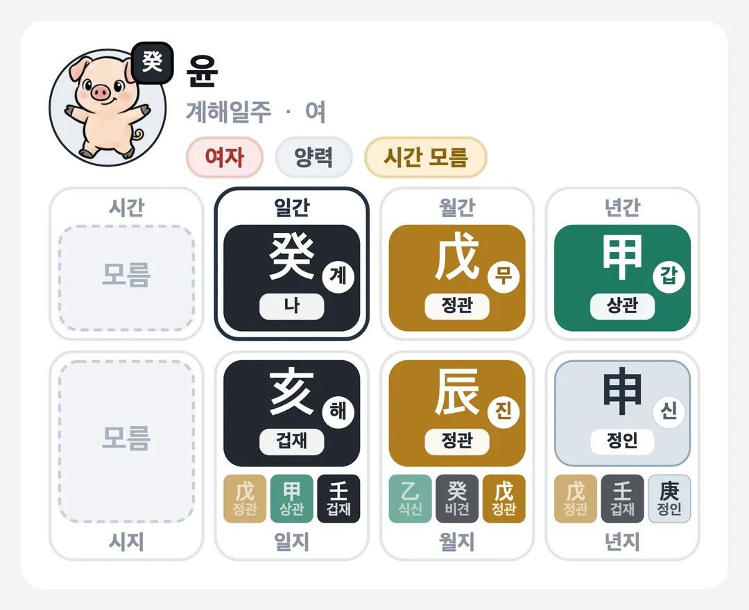 윤 사주 원국 — 계해일주