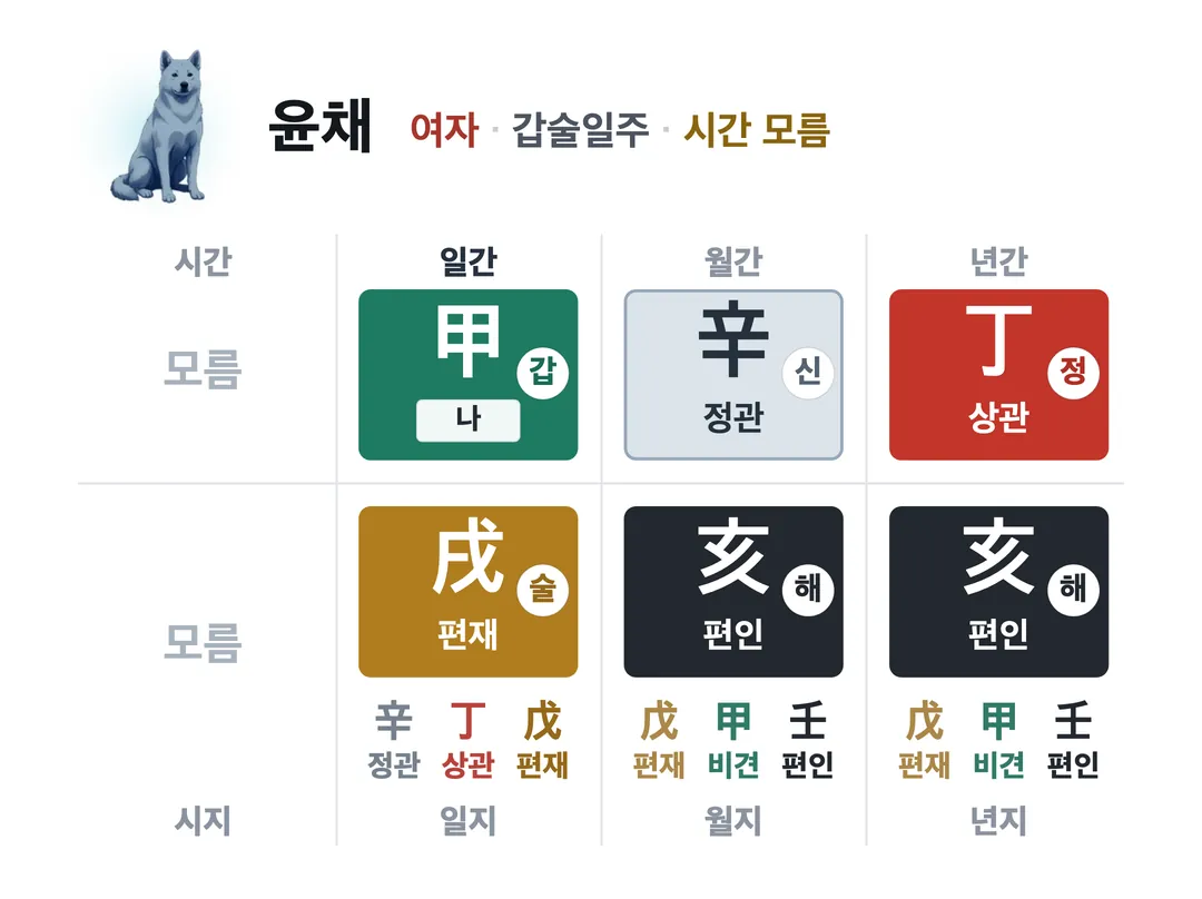 윤채 사주 원국 — 갑술일주
